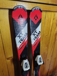 LYŽE TECNO PRO X FLEX 100CM